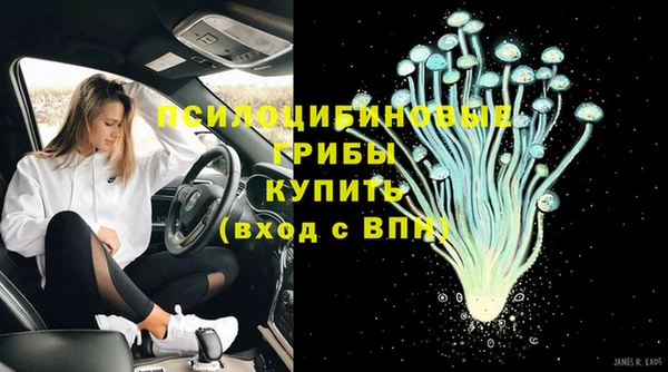 spice Володарск