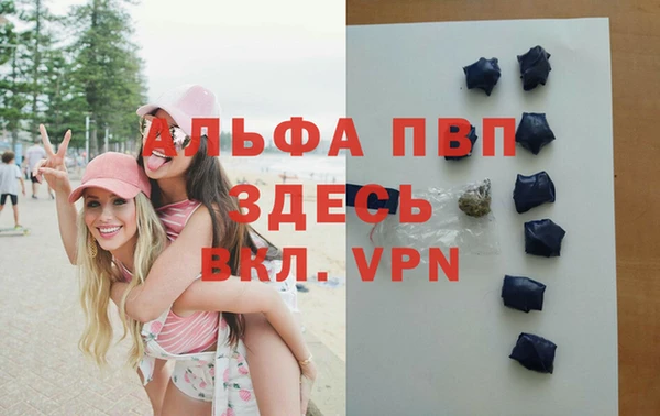 spice Володарск
